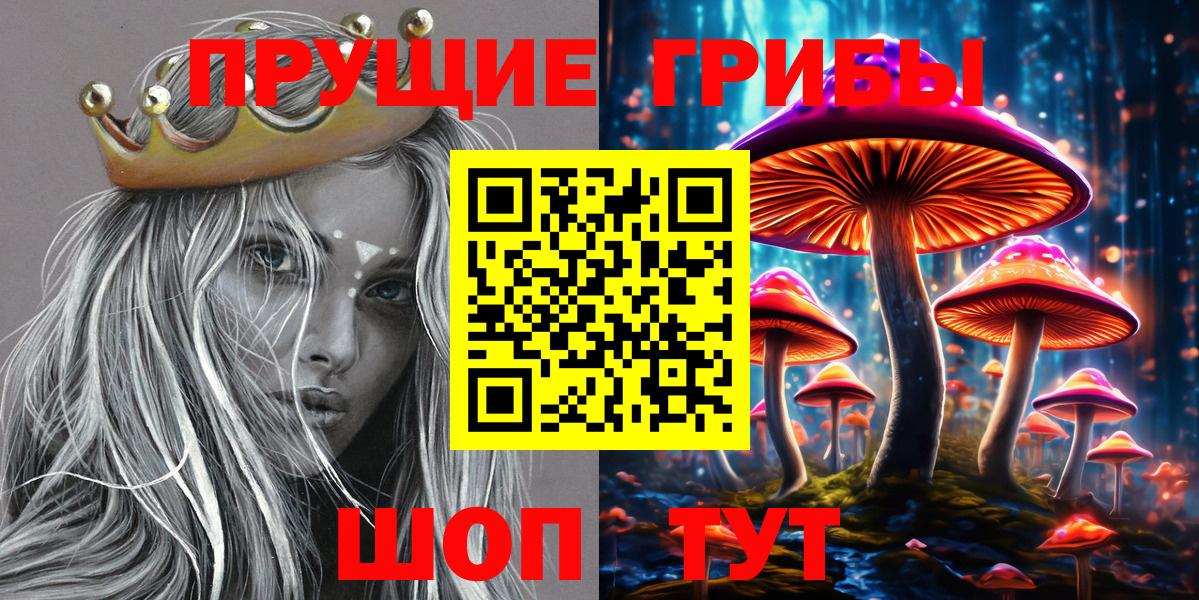Галлюциногенные грибы Cubensis Кимовск