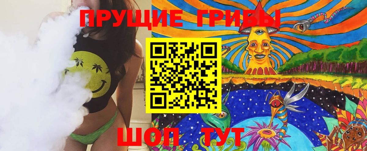 Галлюциногенные грибы Psilocybine cubensis  Вход с VPN  Кимовск 
